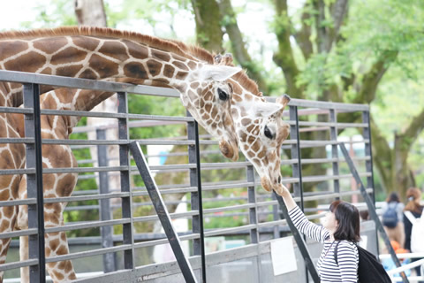 記事フォトギャラリー登録サンプルです。